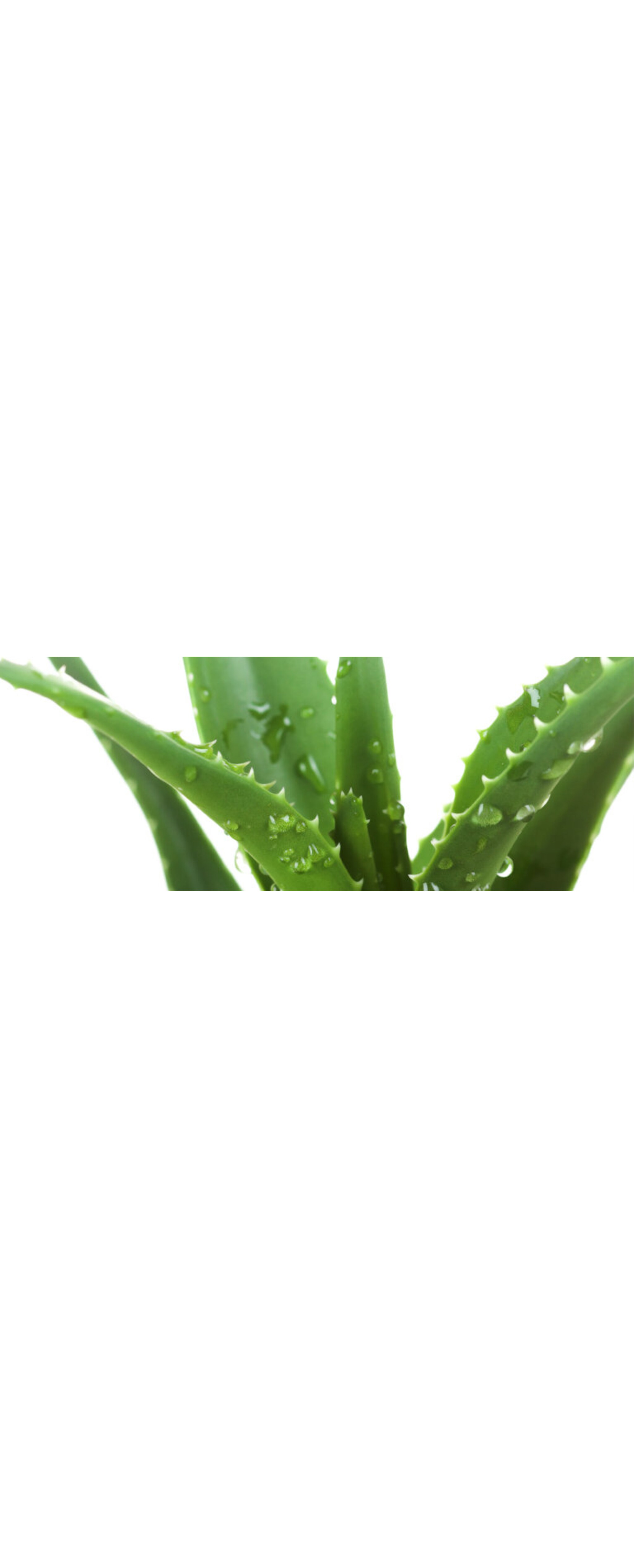 Vera Life Cincinnati - viyw7gi
