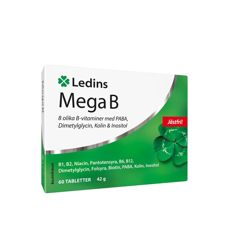 Mega-B