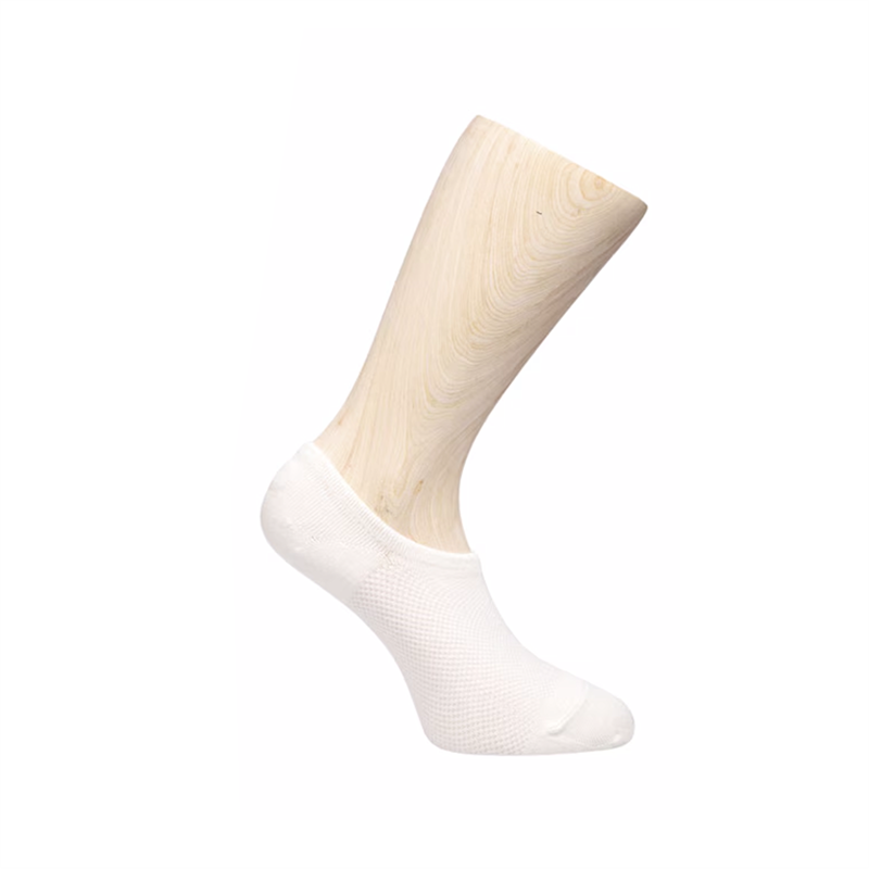Bambusa Bambustrumpor Low 7-pack