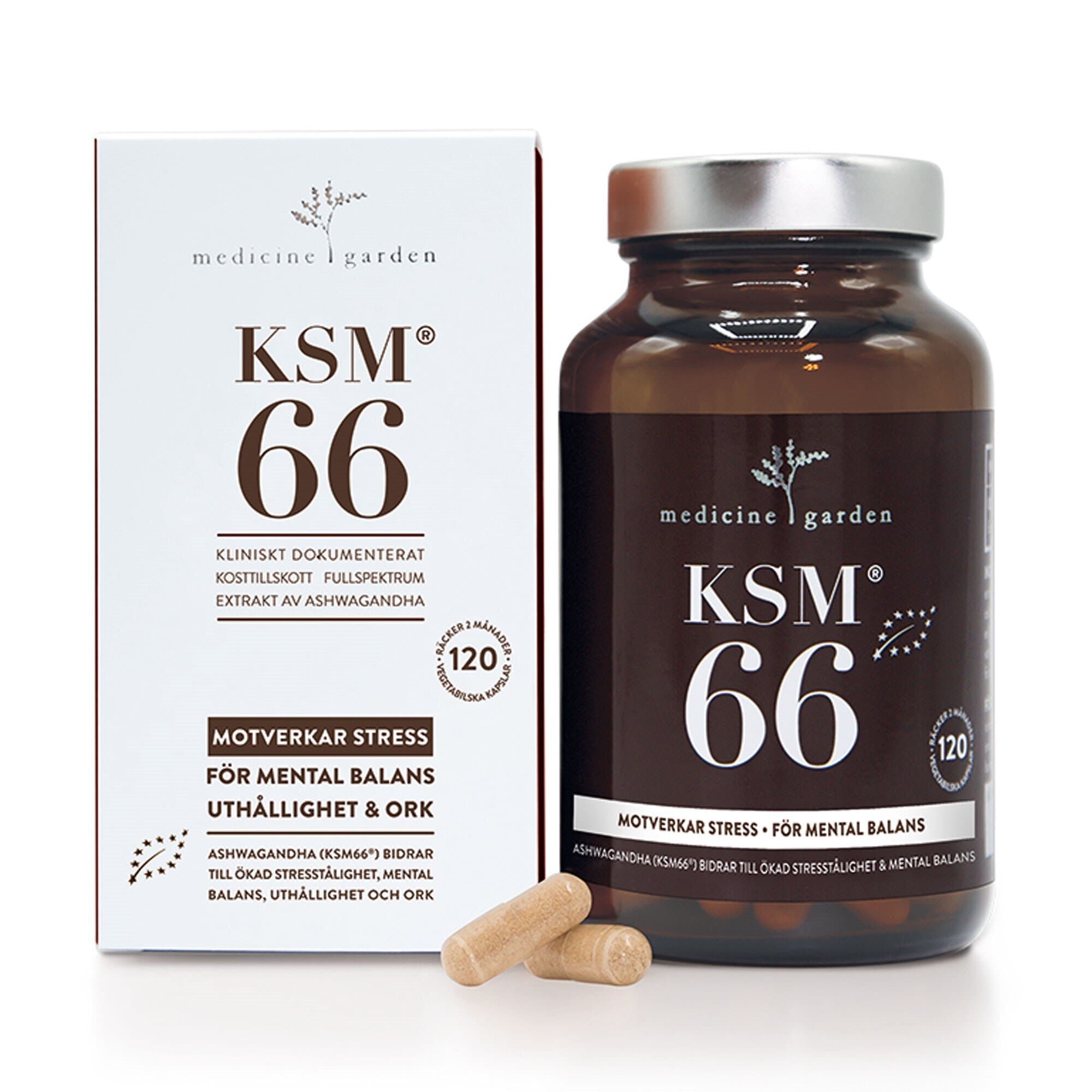 KSM66 Ashwagandha