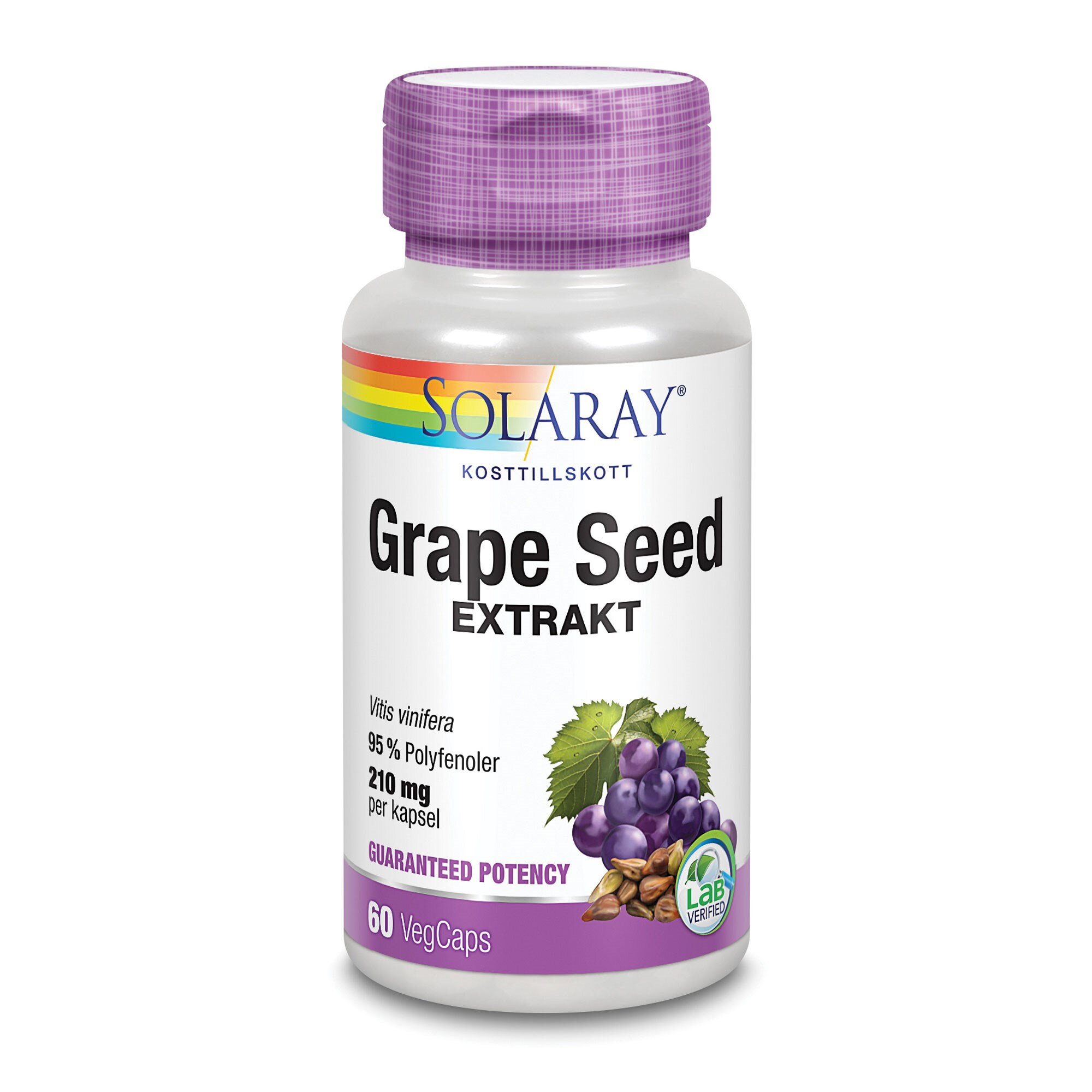 Grape Seed Extrakt