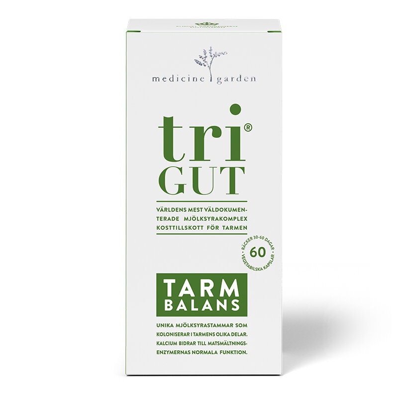 triGUT 60 kap