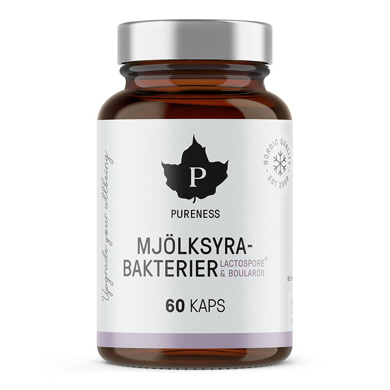 Mjölksyrabakterier