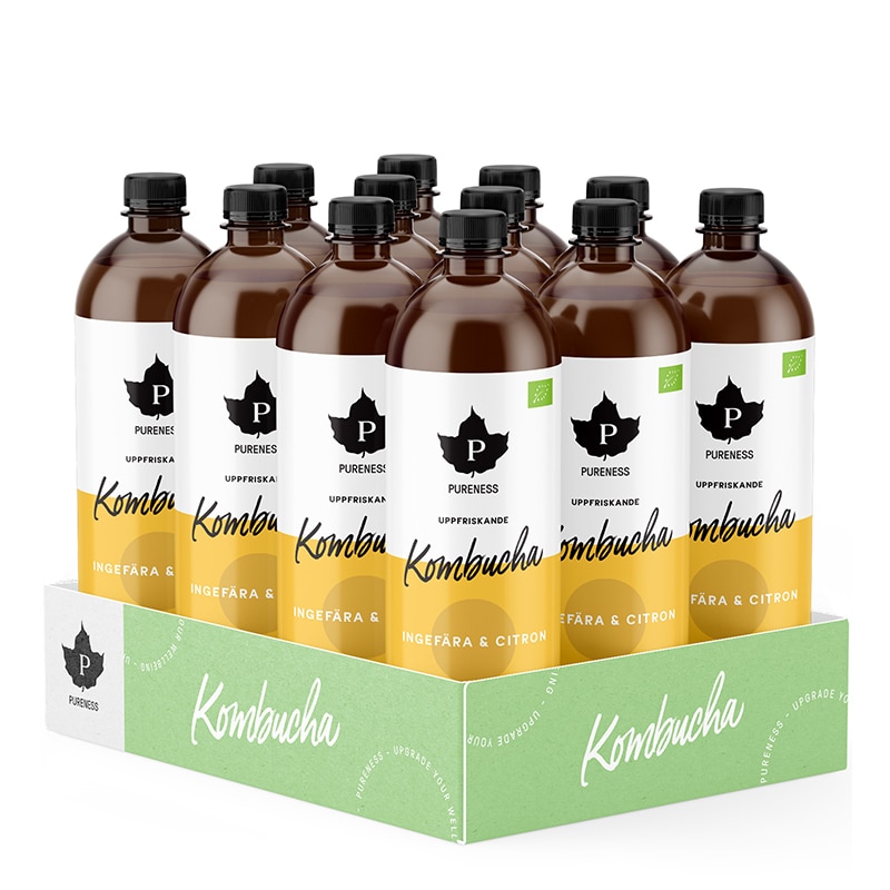 Kombucha Ingefära & Citron Flak