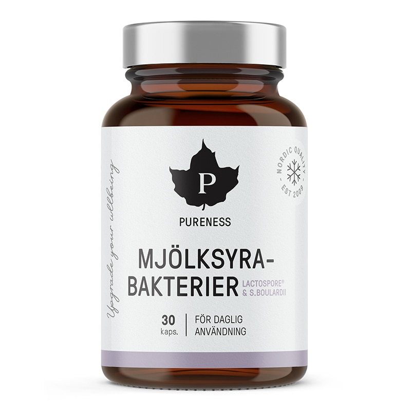 Mjölksyrabakterier