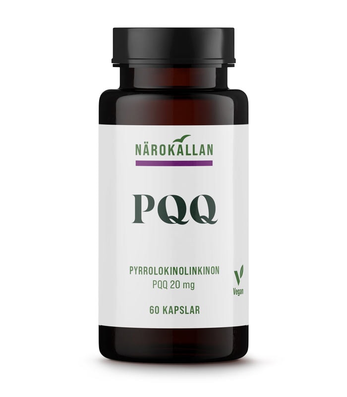 PQQ