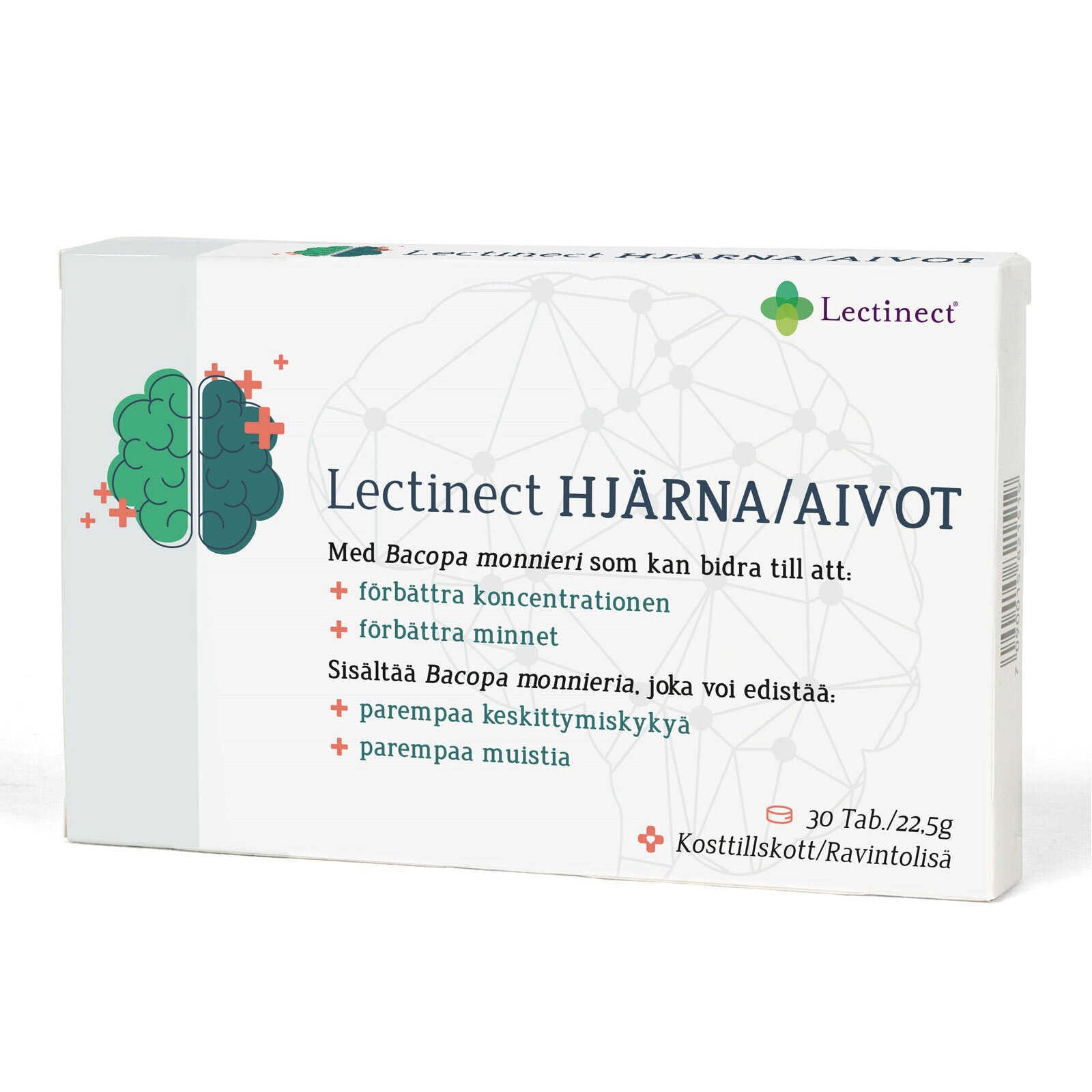 Lectinect Hjärna